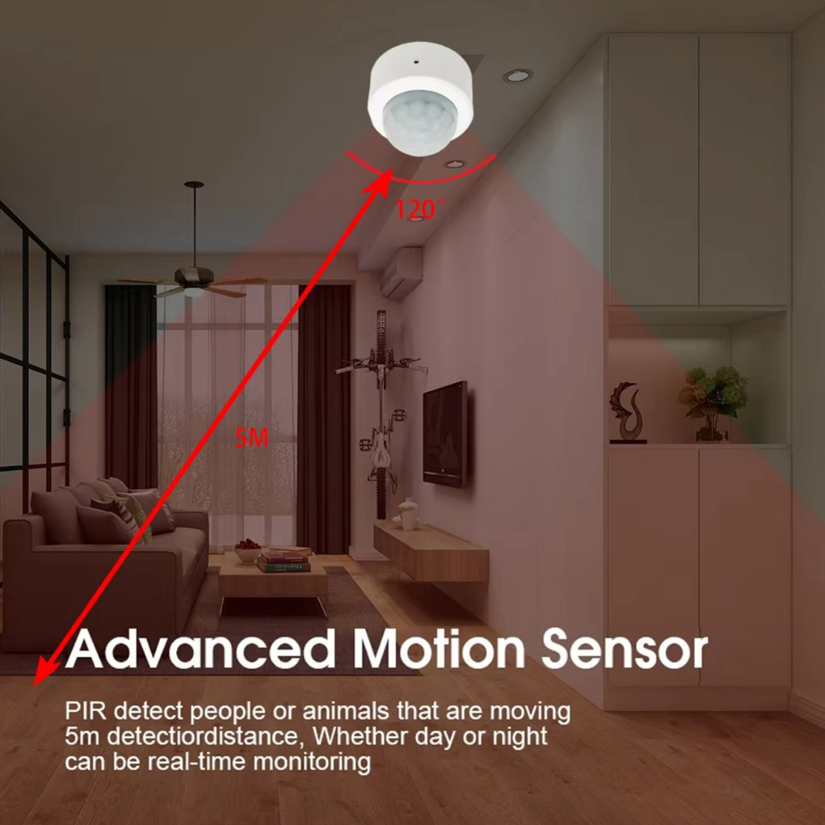 Zigbee PIR Motion Sensor Human - đánh giá và giá Pir Motion Sensor