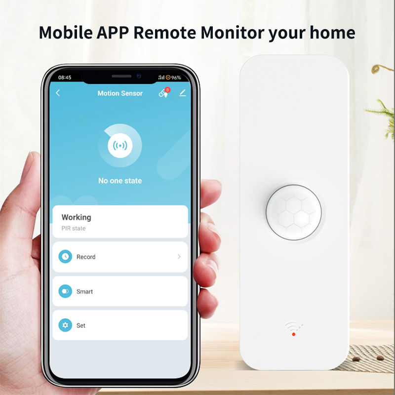 Tuya WiFi Zigbee PIR Motion Se - đánh giá và giá Pir Motion Sensor