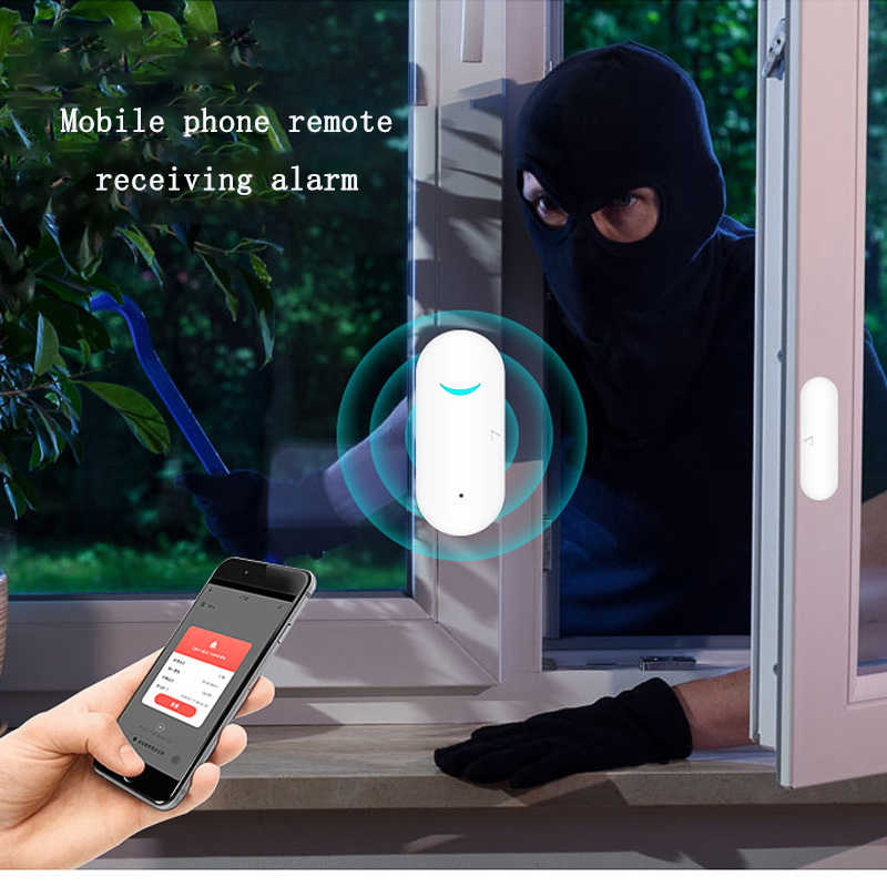 Window Garage Wireless Sensor  - đánh giá và giá Wireless Door Sensor