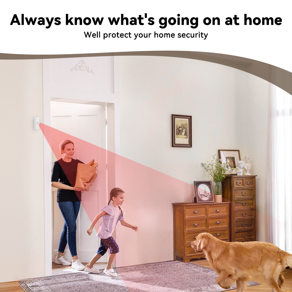 Tuya Smart PIR Motion Sensor S - đánh giá và giá Pir Motion Sensor