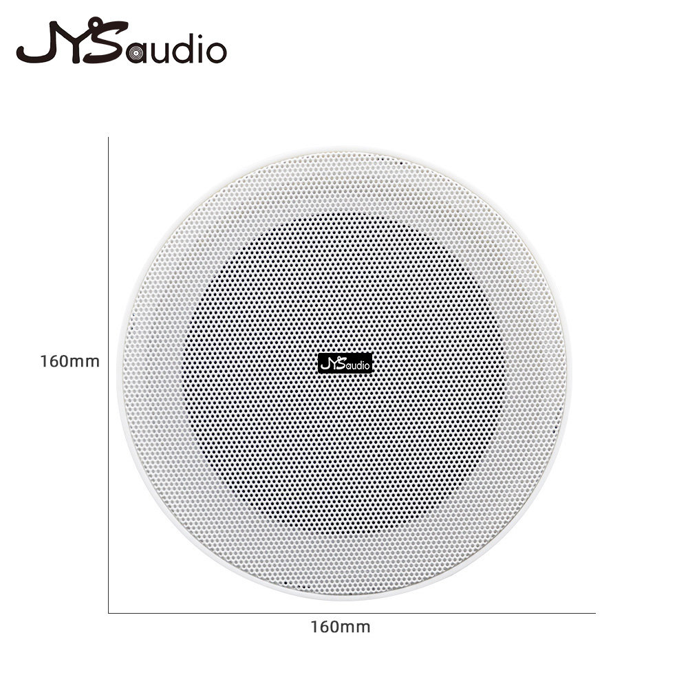 Framless Ceiling Speaker 10W 8 - đánh giá và giá Smart Home Speaker