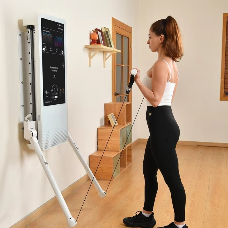 Multifunctional Home Fitness E - đánh giá và giá Smart Home Gym