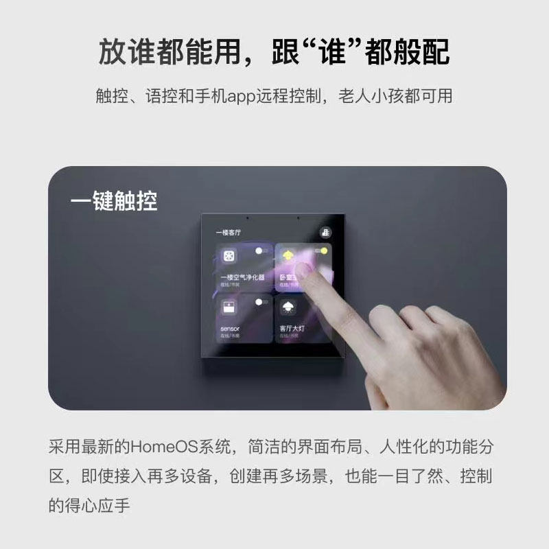 Graffiti Smart Central Control - đánh giá và giá Smart Home Panel